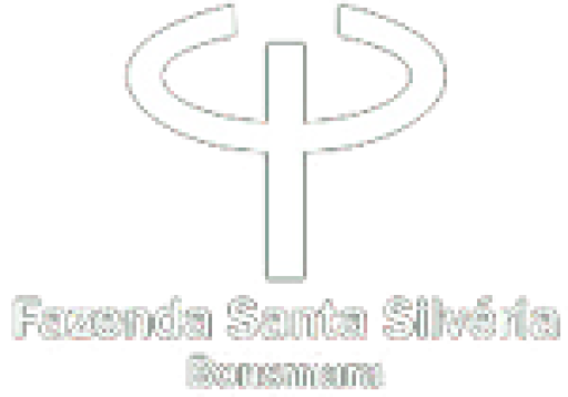 Fazenda Santa Silvéria Bonsmara